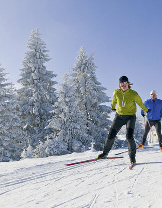 Ski de fond