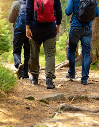 Groupe de marcheurs sur un sentier forestier