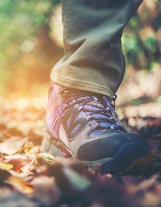 Chaussure de trail sur un sentier couvert de feuilles